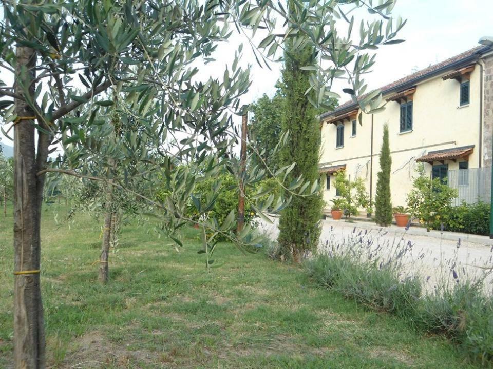 Bed and Breakfast Nenna Country Capua Exteriér fotografie