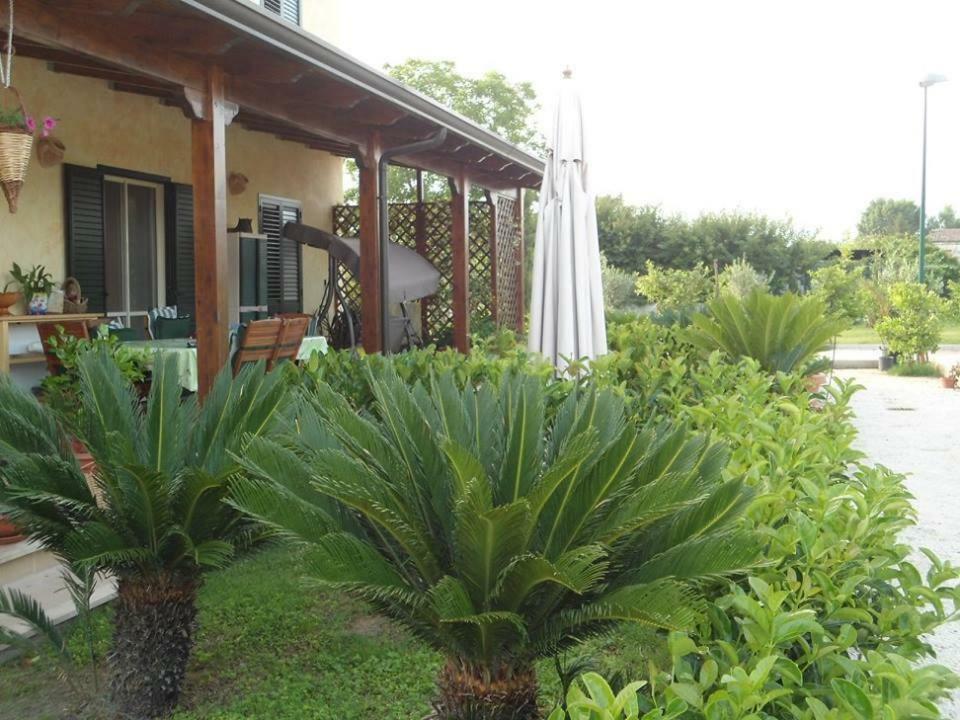 Bed and Breakfast Nenna Country Capua Exteriér fotografie